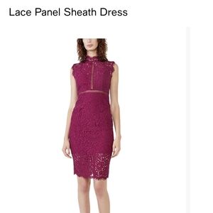 Bardot Berry Lace Panel Sheath Midi Dress